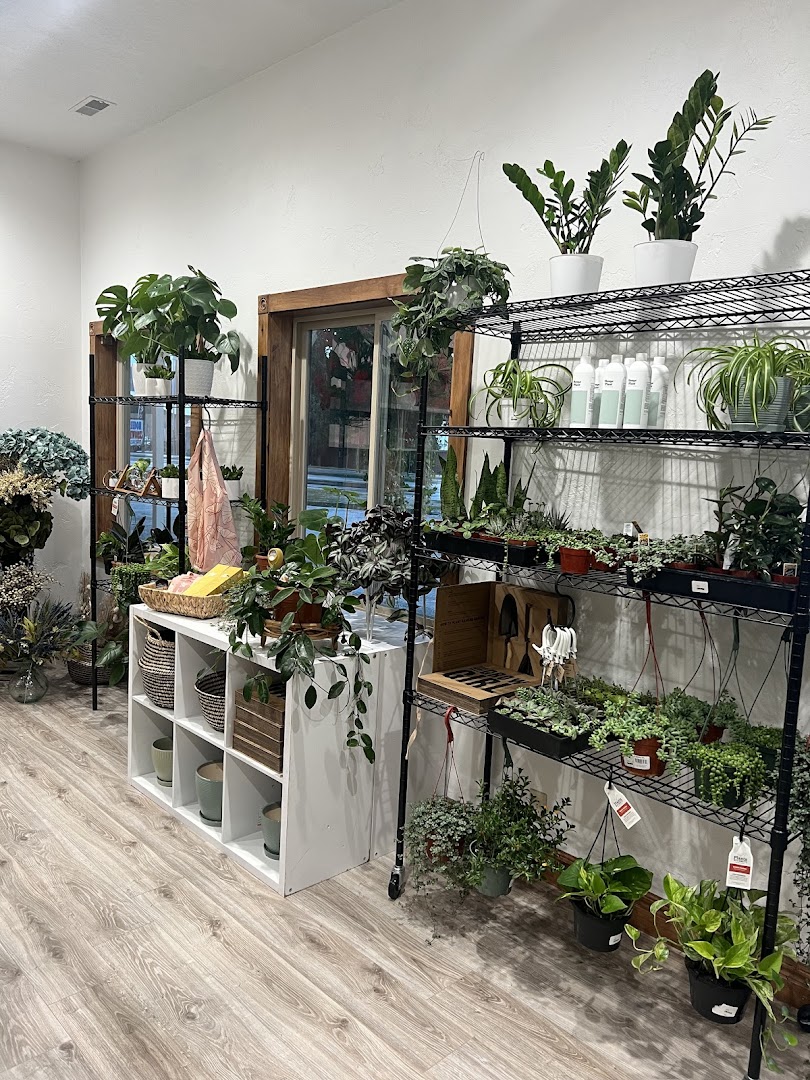 Silo Floral shop photo 16